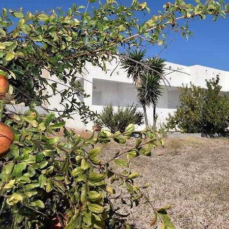 Prika Studios Kefalos  Bagian luar foto